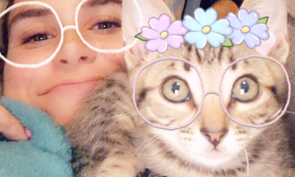 Love Your Cat? Snapchat Introduces Filters Especially for Felines