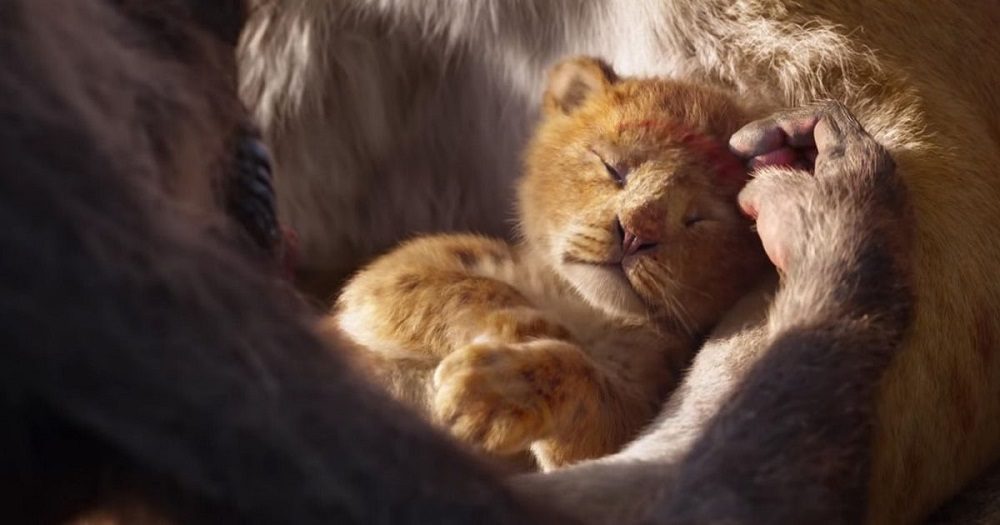 Disney S Lion King Remake Official Teaser Released