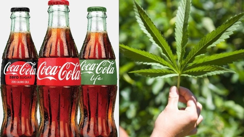 Coca-Cola Cannabis Drink Anyone? Apparently Not Says CEO
