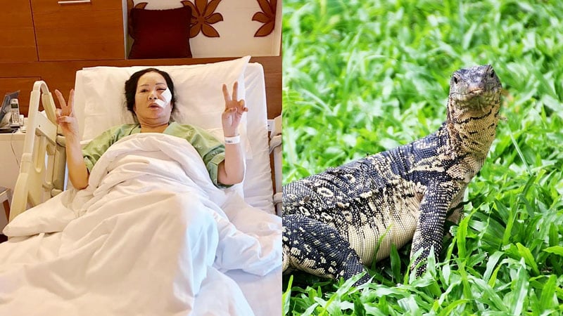 Thai “Billionaire” Jae Leng Injured by Monitor Lizard in Central Bangkok