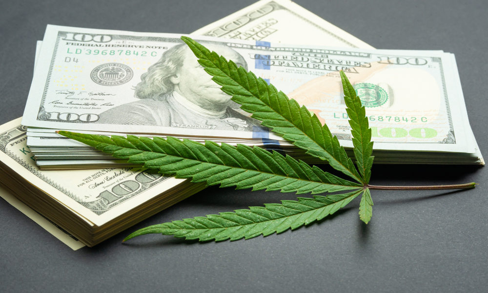 Pot Stocks Rallied Higher After Sessions Stepped Down