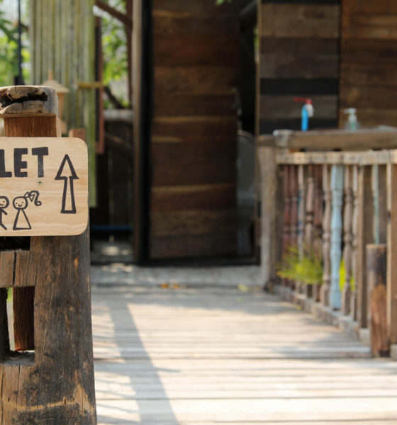 world toilet day
